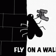 Fly On The Wall